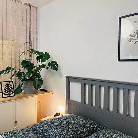 Apartmenthaus Am Dom - Zentrum & Ruhige Lage, Peissnitz, Viel Platz, Kueche, Wifi, Waschmaschine 3* Halle (Saale)