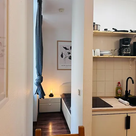 Apartmenthaus Am Dom - Zentrum & Ruhige Lage, Perfekt Fuer Business Trip, Auch Fuer Familie, Viel Platz Mit Kueche 公寓式酒店 Halle (Saale)