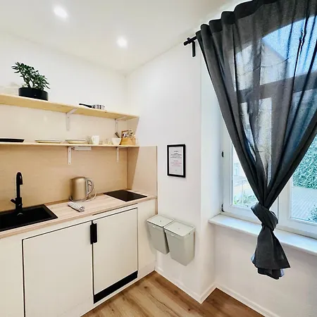 Apartmenthaus Am Dom - Zentrum & Ruhige Lage, Perfekt Fuer Business Trip, Auch Fuer Familie, Viel Platz Mit Kueche 3* Галль