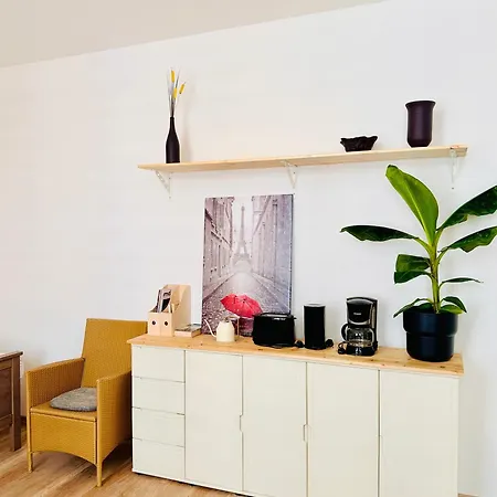 Апарт-отель Apartmenthaus Am Dom - Zentrum & Ruhige Lage, Perfekt Fuer Business Trip, Auch Fuer Familie, Viel Platz Mit Kueche Галль