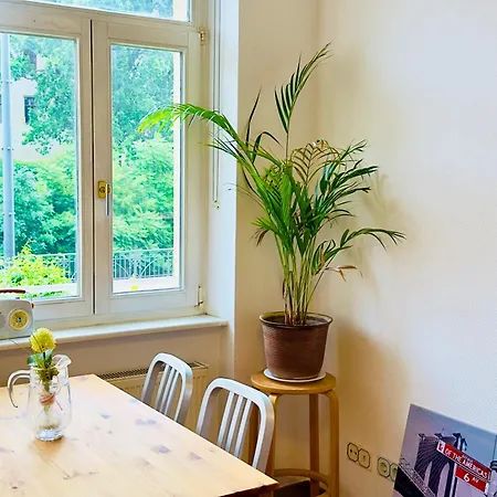 Apartmenthaus Am Dom - Zentrum & Ruhige Lage, Peissnitz, Viel Platz, Kueche, Wifi, Waschmaschine 3*