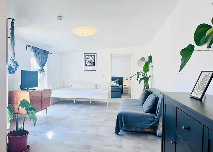 Apartmenthaus Am Dom - Zentrum & Ruhige Lage, Perfekt Fuer Business Trip, Auch Fuer Familie, Viel Platz Mit Kueche アパートホテル ハレ