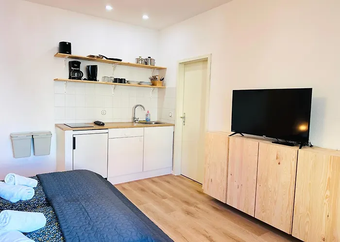 Apartmenthaus Am Dom - Zentrum & Ruhige Lage, Perfekt Fuer Business Trip, Auch Fuer Familie, Viel Platz Mit Kueche Halle (Saale)