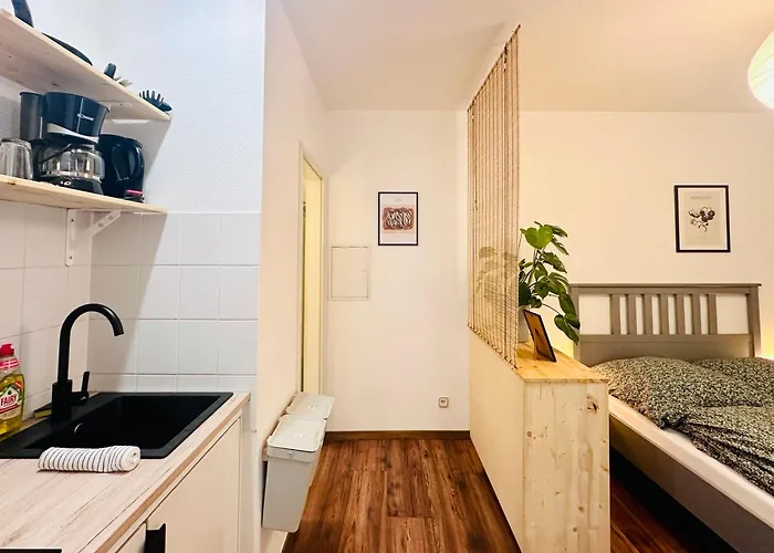 Apartmenthaus Am Dom - Zentrum & Ruhige Lage, Perfekt Fuer Business Trip, Auch Fuer Familie, Viel Platz Mit Kueche ハレ