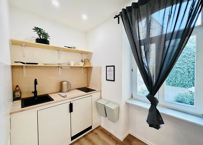 Apartmenthaus Am Dom - Zentrum & Ruhige Lage, Perfekt Fuer Business Trip, Auch Fuer Familie, Viel Platz Mit Kueche 3* ハレ