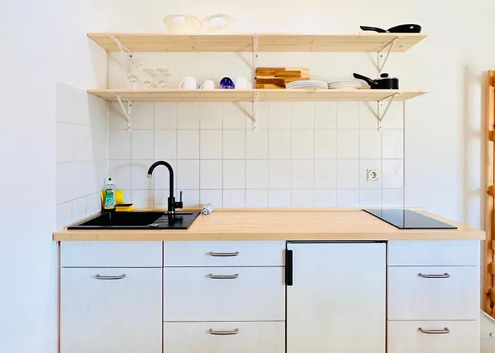 アパートホテル Apartmenthaus Am Dom - Zentrum & Ruhige Lage, Perfekt Fuer Business Trip, Auch Fuer Familie, Viel Platz Mit Kueche ハレ